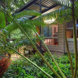 Chambers Wildlife Rainforest Lodge Lake Eacham
