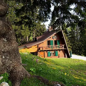https://chalet-alpinka.hotels-in-ljubljana.com